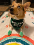 Birthday Boy Dog Bandana in Green