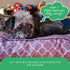 Molly Mutt Petite Dog Duvet Cover - Round Royals Print, 20’’ x 4’’, 100% Cotton, Durable, Machine Washable