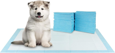 20 Count 36" 30" 6-Layer BV XXL Puppy Pads x - Leak-Proof Pee Pads for Dogs with Design, Rapid Dry Sheet & Attractant