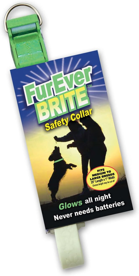 Davis Manufacturing FurEver Brite Glow in The Dark Pet Safety Collar, Medium to Large, Green
