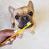 Pet Republique 3.5 oz 3 1 Enzymatic Dog Toothpaste Kit with Finger Toothbrushes Cats and Dogs Dental Cleaning Kit