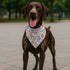 YJIKRTVT Easter Dog Bandana, Colorful Easter Egg Bunny Pattern Triangle Pet Scarf, Spring Holiday Puppy Bib for Small