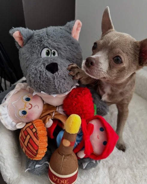 Nocciola Fairy Tale Squeaky Dog Toys, Cute Interactive Plush Stuffed Hide and Seek Cognitive Puzzle Puppy Crinkle Chew