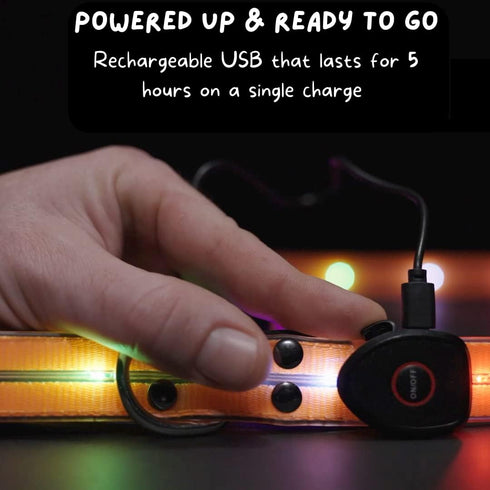 LED Dog Leash for Safe Evening Walks, High Visibility Light Up Leash, 6 Foot New Version for Dogs