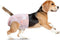 Pappiora Disposable Female Dog Diapers for Waist 1621 in, Leakproof, Super Absorbent, Soft