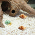 luchike 1.18" 1.97" Hermit Crab Shells Yellow Small Sea Conch Size - Seashells Accessories Decorations for Hermit Crab
