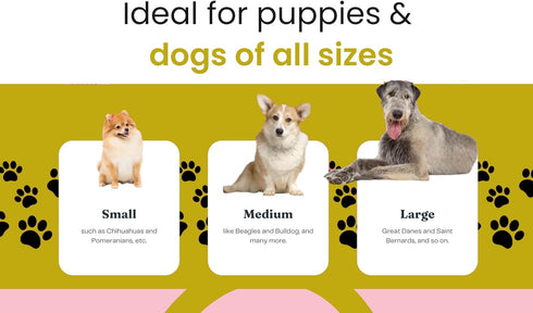 Generic Dog Training Starter Kit for Puppies Magnetic Treat Pouch & Potty Training Bell