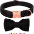 Black Dog Collars for Small Dogs, Cute Corduroy Dog Collar with Bow Tie, Adjustable Puppy Collars for Small Medium