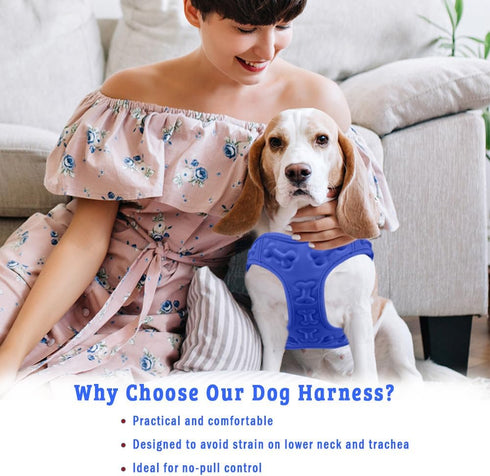 Comfort Fit No Pull Dog Harness, Blue XS, Soft Padded Vest with 2 Leash Clips, Adjustable Buckles
