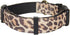 Dog Collar Cheetah Pattern, Wear Resistant Fabric, Comfortable and Durable for Medium Dogs (Neck: 12"-18")