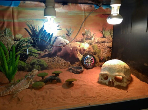 Hewnda Aquarium Decor, Resin Artificial Head Skeleton Decoration for Aquarium Otaru Landscape