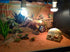 Hewnda Aquarium Decor, Resin Artificial Head Skeleton Decoration for Aquarium Otaru Landscape