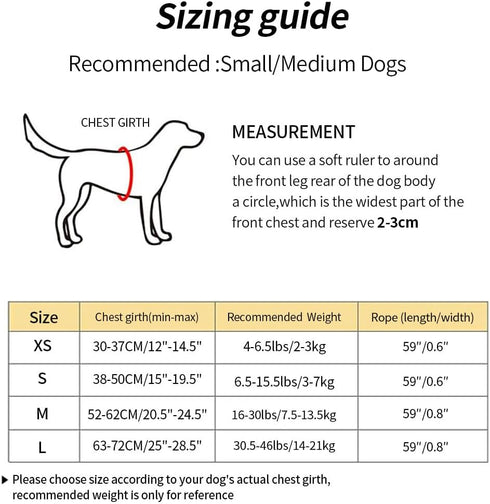 Dog Harness with Leash Set, No Pull Harnesses with Breathable Padded for Small Dogs Training and Running (XS, Gray)