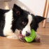 AUSCAT Dog Chew Squeaky Toy Ball, Rugby Shape Rubber Chew Ball with Squeaker for Fetch Game and Outdoor Play