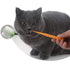 VTurboWay 360-Degree Pet Toothbrush for Puppy, Small Dog and Cat, Colors May Vary