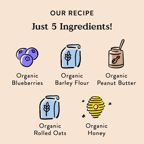 Bocce's Bakery All-Natural, Small Batch, Organic Dog Treats, Wild 'Berry Biscotti Biscuits, Wheat-Free, Limited-Ingredient, Made in The USA with 100% Recyclable Packaging, 12 oz Bag (DG-BC-WBB)