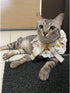 AOPET Stuffers Pet Christmas Sweet with Bell Bandana CostumeCat Dog Cute Lace Princess Saliva Towel Dog bib Scarf bib