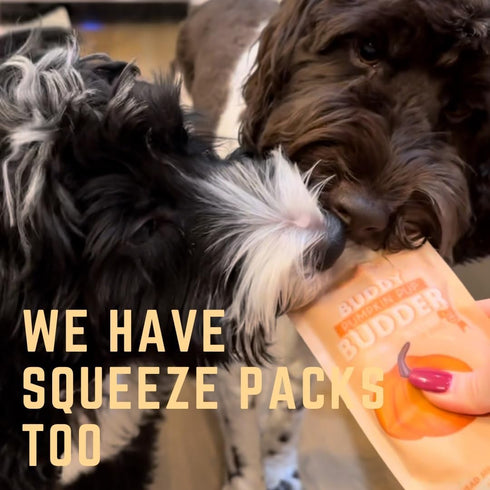 Pumpkin Pup + Ruff Ruff Raw + Barkin Banana Buddy BUDDER - 100% Natural Dog Peanut Butter Treats Set of 3