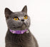Breakaway Cat Collar with Bell, 2 Pack Adjustable Floral Collars for Cute Safety Purple Pink Kitty