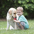 (Pack 2) KONG Classic Stuffable Dog Toy - Fetch & Chew Toy for Dogs - Treat-Filling Capabilities & Erratic Bounce