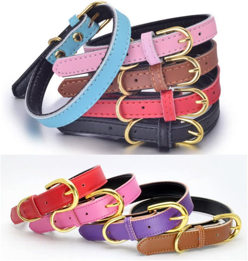 Leather Collar for Small Dogs, Adjustable Genuine Cowhide with Gold Buckle, Soft Touch Padded for XS Medium Large Dogs,