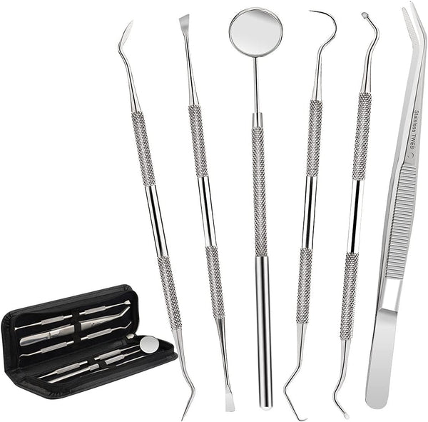 Patekfly Stainless Steel 6 Pack Dental Tools, Dental Pick, Floss, Hygiene Tool Set for Oral Care