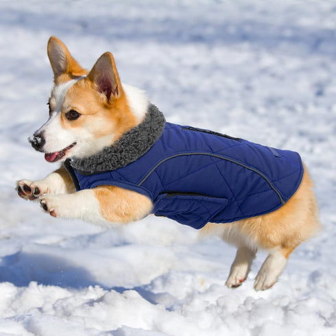 Emust Dog Coats Winter, Thick Clothes for Medium Dogs with Harness Hole, Dark Blue, Size M for Cold Weather
