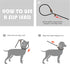 Fida Durable Slip Lead Dog Leash, 6 FT x 1/2" Heavy Duty Comfortable Rope Leash for Large, Medium Dogs, No Pull Training