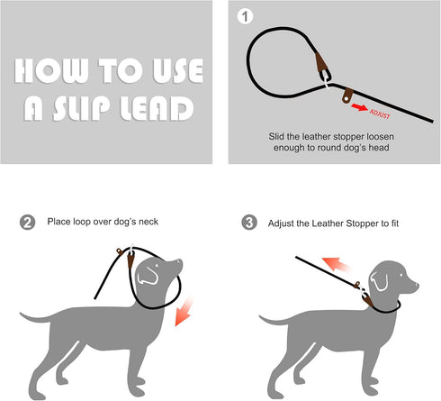 Fida Durable Slip Lead Dog Leash, 6 FT x 3/8" Heavy Duty Loop Leash for Small Dogs and Puppies, Reflective (3/8",