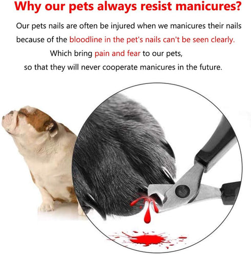 Illuminated Pet Nail Clipper with 5X Magnification, Safe LED Light Grooming Tool for Dogs and Cats