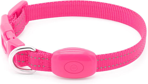 Candofly Puppy Light Up Dog Collar - USB Rechargeable LED Dog Collar for Small Dogs & Cats, Night Walking (X-Small,