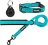 Azuza Blue Durable Padded Dog Leash and Collar Set with Airtag Holder, Reflective Strip for Small Dogs
