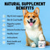 Dog Vitamins - 120 Chews with Glucosamine Chondroitin, Probiotics Digestive Enzymes, Supplement for Joint and Immune