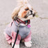QR Code Dog Tag Silent ID Pet Tags Personalized Name Plate with Online Profile (Pink Paw, Small Round)