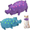 Pig Squeaky Dog Toy - 2 PCS Interactive Rubber Chew Toy, Durable Latex Grunting Pig Toys for Small, Medium & Large Dogs