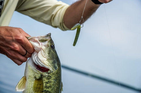 Harmony Fishing - Razor Series Wacky Weedless WG Hooks - Ultimate Bass Fishing Hooks for Wacky & Neko Rig