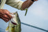 Harmony Fishing - Razor Series Wacky Weedless WG Hooks - Ultimate Bass Fishing Hooks for Wacky & Neko Rig