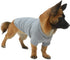 Lovelonglong Pet Clothing, Dog Costumes, 100% Cotton Blank T-Shirt for Dachshund & Corgi Dogs, Gray D-M