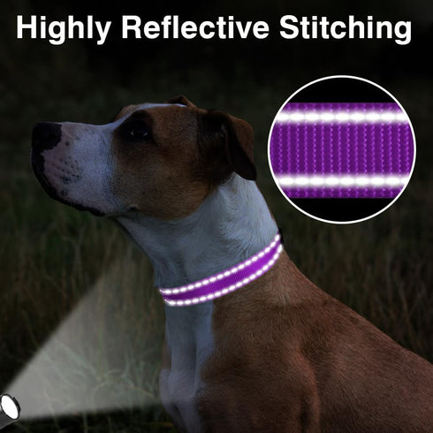 Taglory Purple Reflective Adjustable Dog Collars for Small Medium Large Dogs, Thin Nylon Webbing and Quick Release