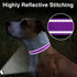 Taglory Purple Reflective Adjustable Dog Collars for Small Medium Large Dogs, Thin Nylon Webbing and Quick Release