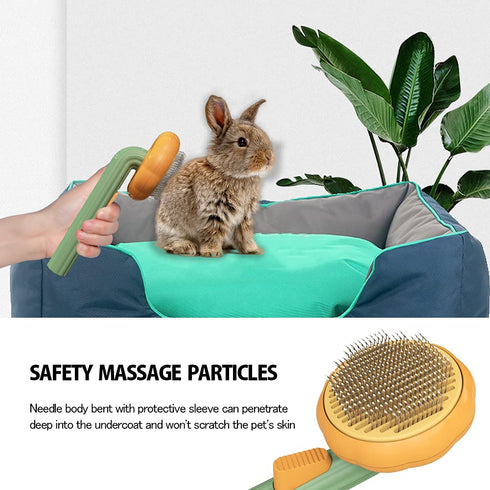 Cat Brush with Release Button, Cute Pumpkin Shape Groom and Clean Dog Comb, Self Cleaning Doodle Brush for Cats and Dogs