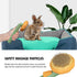 Cat Brush with Release Button, Cute Pumpkin Shape Groom and Clean Dog Comb, Self Cleaning Doodle Brush for Cats and Dogs