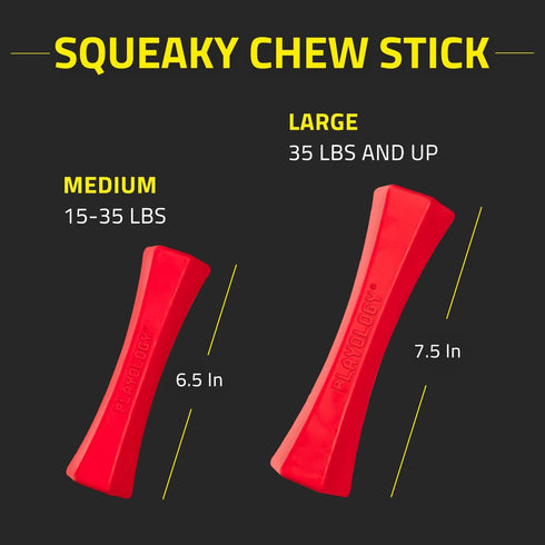 Playology Squeaky Dog Toy Fetch Stick - Durable Rubber Toys for Interactive Play, Beef Scented for Large Dogs