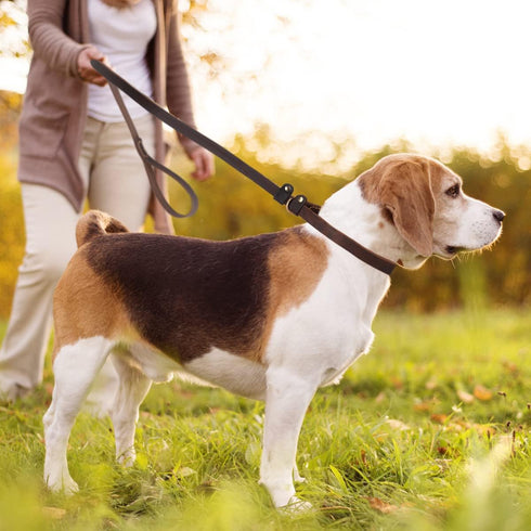Real Leather Slip Dog Leash for Medium Large Dogs - Soft Sturdy Heavy Duty Flat Pet Training Leash, Brown