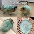 Cute Cat Costumes Turtle Shell Kawaii Kitten Clothes, Dog Puppy Vest Pet Apparel (Small, Turtle Shell)