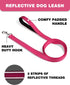 6ft Dog Leash for Small Medium Large Dogs | One-Sided Reflective Nylon | Padded Handle | 1 inch Wide | Hot Pink