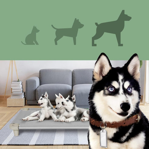 Acrimet Cooling Elevated Pet Dog Bed Cot, Washable Breathable Mesh Fabric, Stainless Steel Frame, Indoor & Outdoor Use