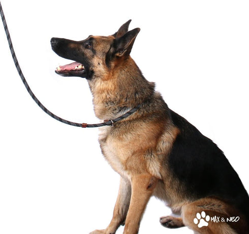 Max and Neo Rope Slip Lead - Reflective 5 Foot Black, We Donate a Leash to a Dog Rescue for Every Leash Sold