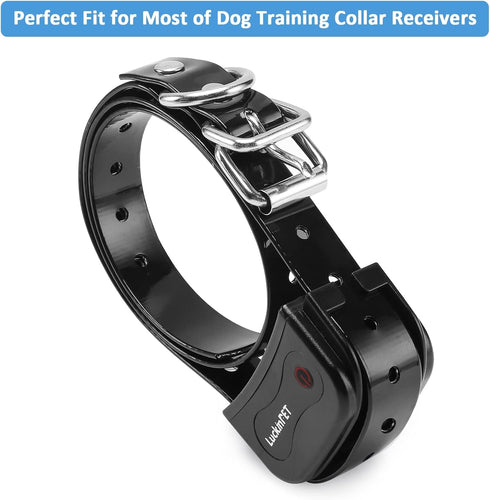 Waterproof Dog Collar Replacement Strap, Easy Clean Odorless with Metal Buckle, 3/4 Inch Adjustable Size