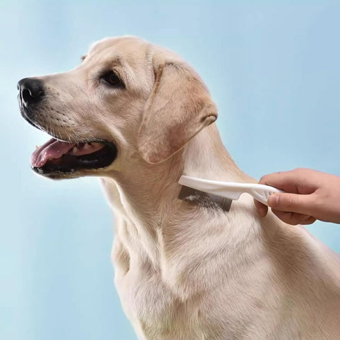 4 PCS Pet Grooming Brush Kit - Dog Brush for Shedding, Deshedding Dog Brush, Flea Comb, Stainless Steel Pet Comb